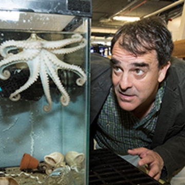 Joshua Rosenthal, Senior Scientist at Marine Biological Laboratory, looks at an octopus.