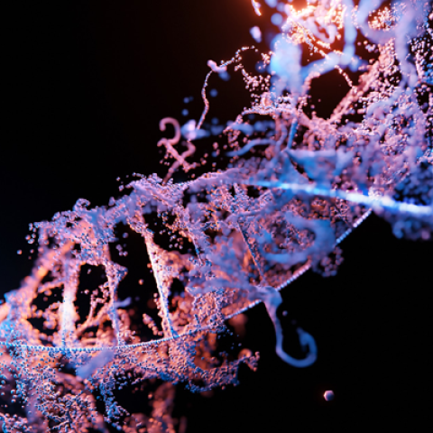 Purple and blue DNA helix against a black background.