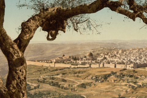 The city of Jerusalem viewed from Mount Scopus.